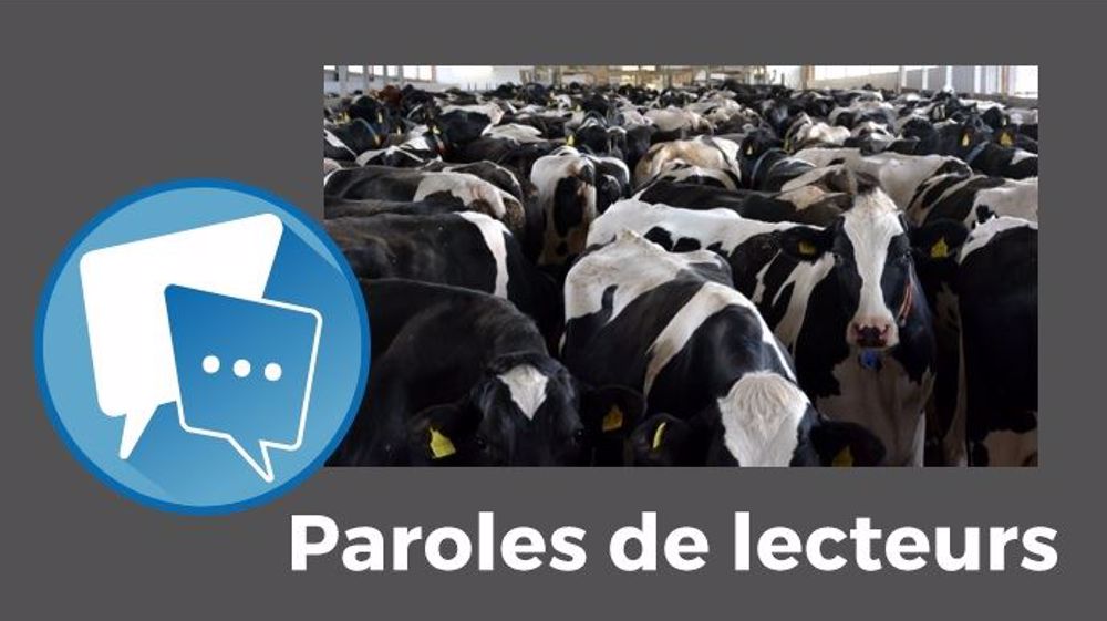  Si les fermes de 1 000 vaches se généralisent, « il faudra tellement de capitaux pour s'installer, qu'il n'y aura plus que des investisseurs pour reprendre ces exploitations, et des managers et salariés pour y travailler », estime Tintin. (©Terre-net Média)