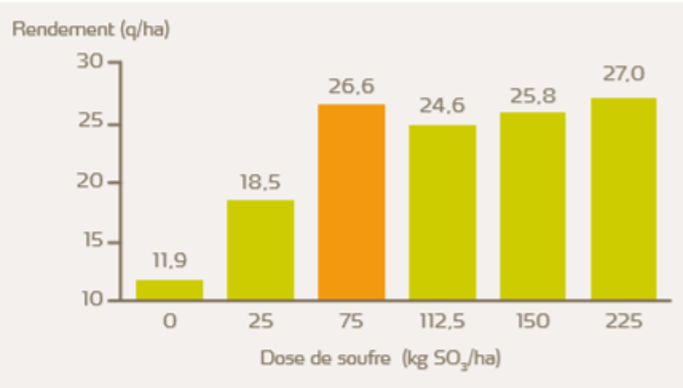 L’apport optimal de soufre sur colza se situe à 75 kg SO3/ha.