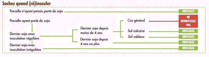 Quand inoculer sa parcelle ?
