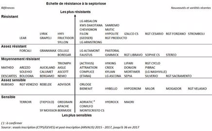 Échelle de résistance à la septoriose