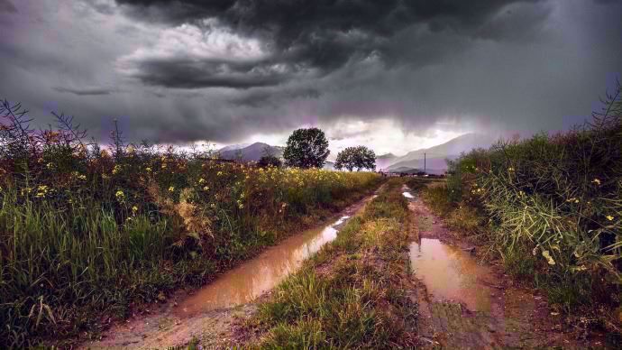 chemin de campagne, route de campagne, pluie, flaques d'eau