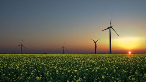 L'éolien concerne seulement 1,1 % de la production énergétique agricole. (©Jürgen de Sandesneben, CC) L'éolien concerne seulement 1,1 % de la production énergétique agricole. (©Jürgen de Sandesneben, CC)