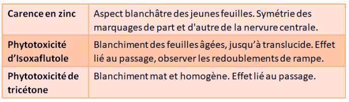 Ne pas confondre la carence en zinc avec des problèmes de phytotoxicité