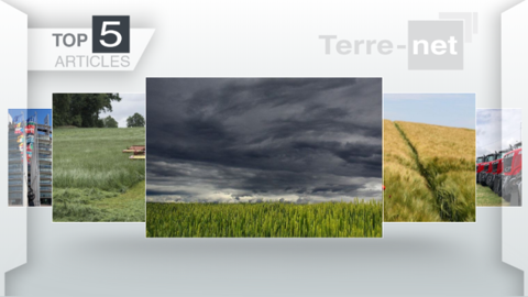 Les articles les plus lus sur Terre-net cette semaine. (©Terre-net Média)