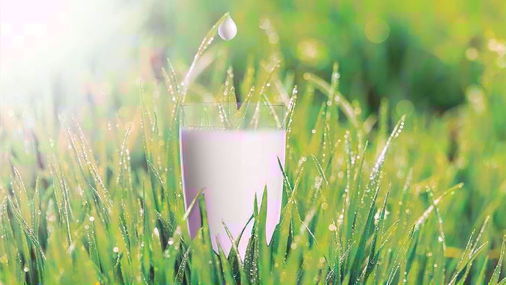 Le nouveau PACK Efficient Feeding AA+ permet d’accompagner vos démarches de réduction du coût alimentaire par la précision, le confort et la sécurité.