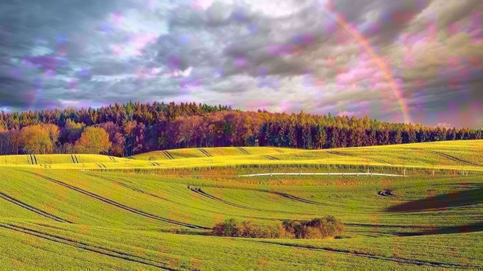 Paysage agricole