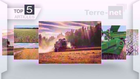Les articles les plus lus sur Terre-net cette semaine. (©Terre-net Média)