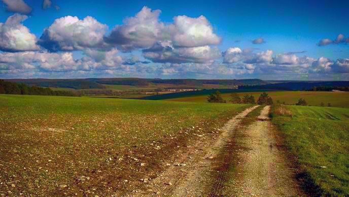 Paysage