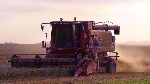 En Ukraine, le rendement moyen en blé atteint pour l'instant 4,36 t/ha, contre 3,82 t/ha lors de la campagne 2018/2019. (©Terre-net Média)