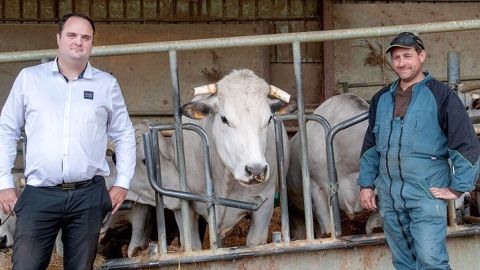 À gauche : Julien Guyomard de Viande du Sud Toulousain et à droite : Ludovic Calvet, éleveur de Gasconnes qui engraisse des bœufs pour la filière. (©Nicolas Mahey) À gauche : Julien Guyomard de Viande du Sud Toulousain et à droite : Ludovic Calvet, éleveur de Gasconnes qui engraisse des bœufs pour la filière. (©Nicolas Mahey)