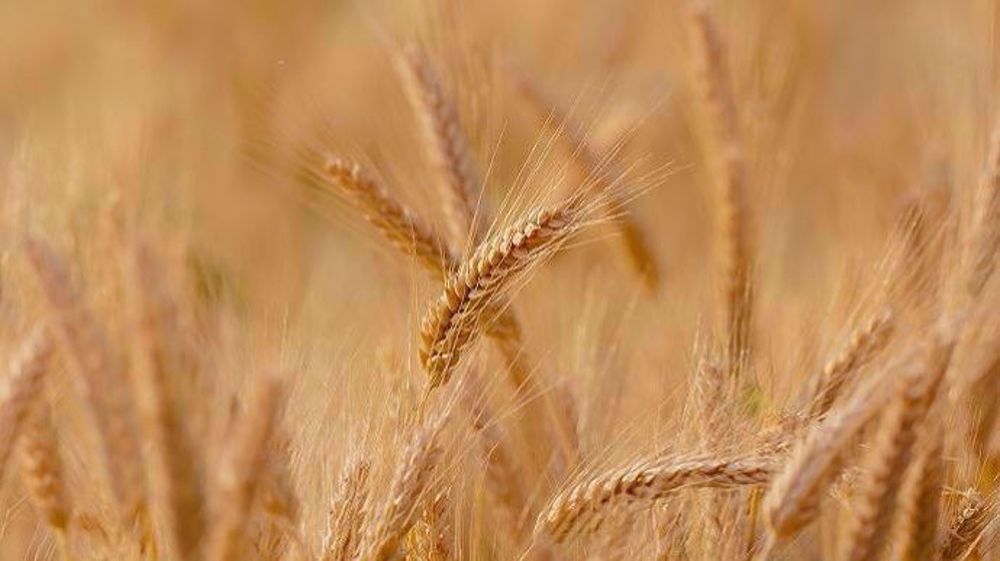 MeteoNews prévoit un risque de canicule la semaine prochaine. (©Pixabay)