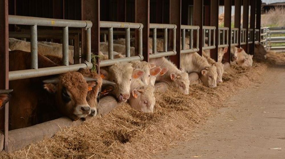  Les opposants de droite comme de gauche sont très remontés au nom de<strong> </strong>risques environnementaux, agricoles et sanitaires. (©Terre-net Média)