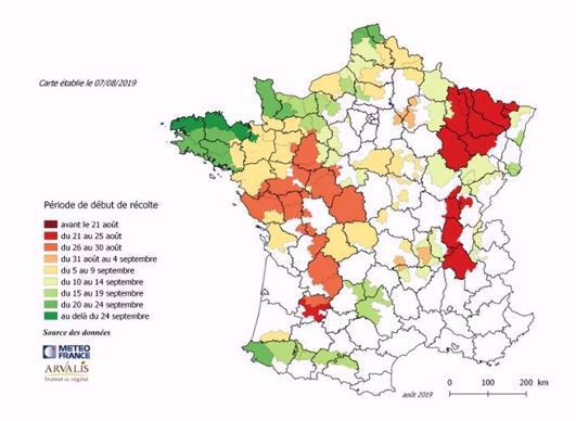 Carte prévisions ensilage de maïs