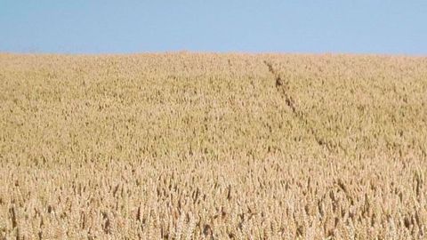 Soleil de plomb dans tout l'ouest de l'Europe cette semaine.