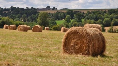 Didier Guillaume a appelé les agriculteurs à faire preuve de « solidarité entre eux », souhaitant voir des échanges se mettre en place entre les « départements disposant de fourrages et ceux en pénurie ». (©Terre-net Média) Didier Guillaume a appelé les agriculteurs à faire preuve de « solidarité entre eux », souhaitant voir des échanges se mettre en place entre les « départements disposant de fourrages et ceux en pénurie ». (©Terre-net Média)
