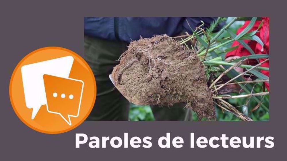 Le plus important est de « respecter le sol », rappelle Fred31. (©Terre-net Média)