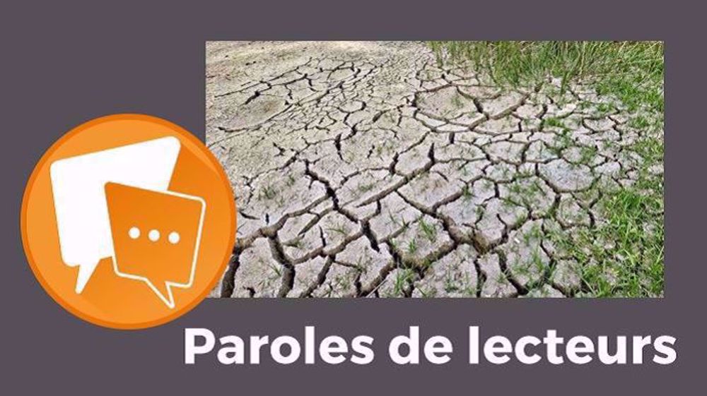 De toute façon, « l'État ne soutient plus du tout l'agriculture », déplorent l'ensemble des lecteurs. (©Pixabey // Création Terre-net Média)