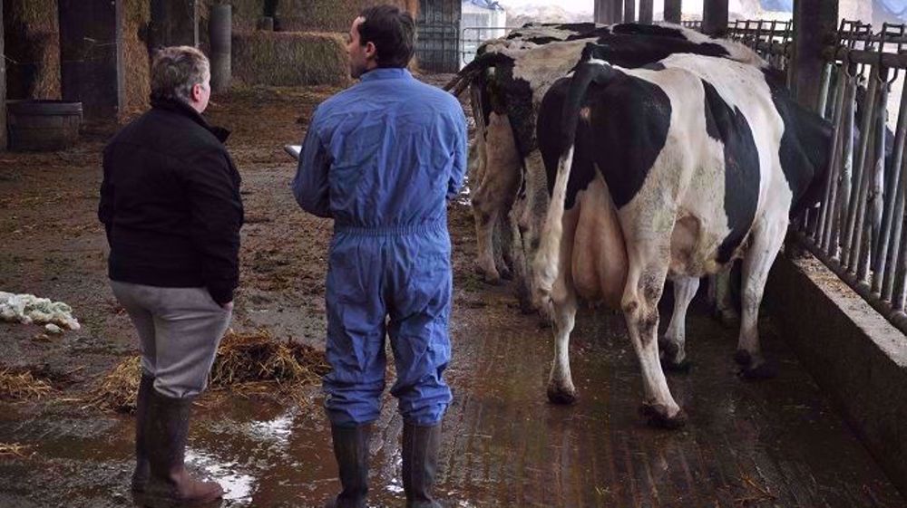 La désertification vétérinaire est une réalité dans de nombreux départements français. (©Terre-net Média)