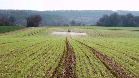 Lutter contre les adventices par le travail du sol (©Bayer)
