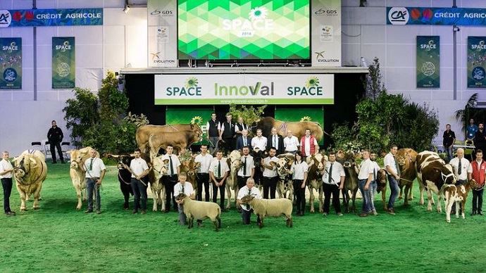 750 animaux fouleront le ring du Space 2019, dont 550 bovins de 13 races différentes?
