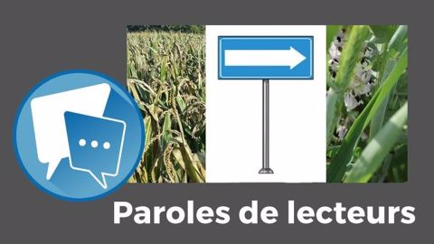 « Certains d'entre vous m'ont demandé mes résultats pour le méteil et je ne savais comment vous les faire passer, donc je profite de cet article sur le maïs », annonce Patrice Brachet<strong>. </strong>(©Terre-net Média) « Certains d'entre vous m'ont demandé mes résultats pour le méteil et je ne savais comment vous les faire passer, donc je profite de cet article sur le maïs », annonce Patrice Brachet<strong>. </strong>(©Terre-net Média)