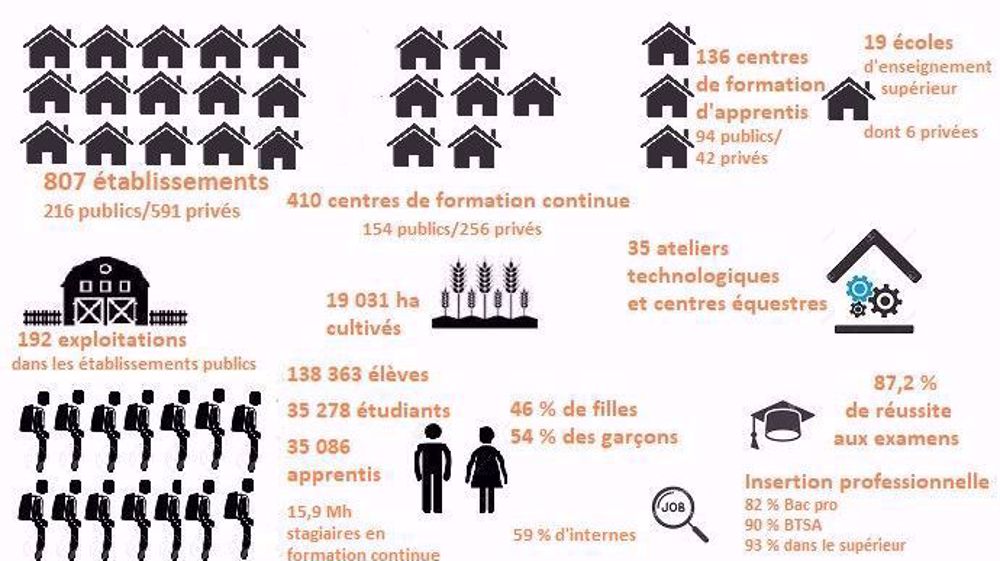  (©Terre-net Média // Source données : ministère de l'agriculture)