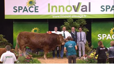 Nectar et Hotesse s'imposent dans le concours interrégional Limousin