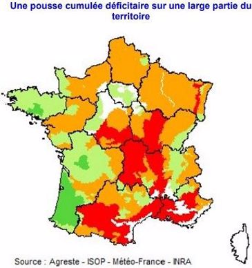 Carte de l'indicateur de rendement des prairies permanentes, par régions fourragères, au 20 août 2019 