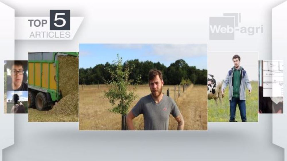 Les cinq articles les plus lus de la semaine sur Web-agri. (©Terre-net Média)