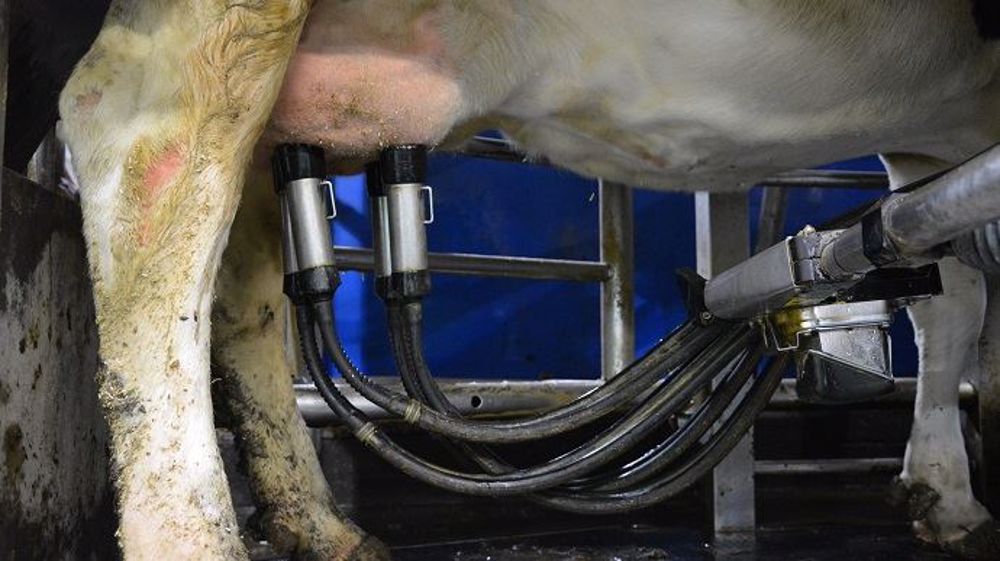 Le prix standard du lait de vache conventionnel a augmenté de 23 € les 1 000 l entre juin 2018 et 2019 (©Terre-net Média)