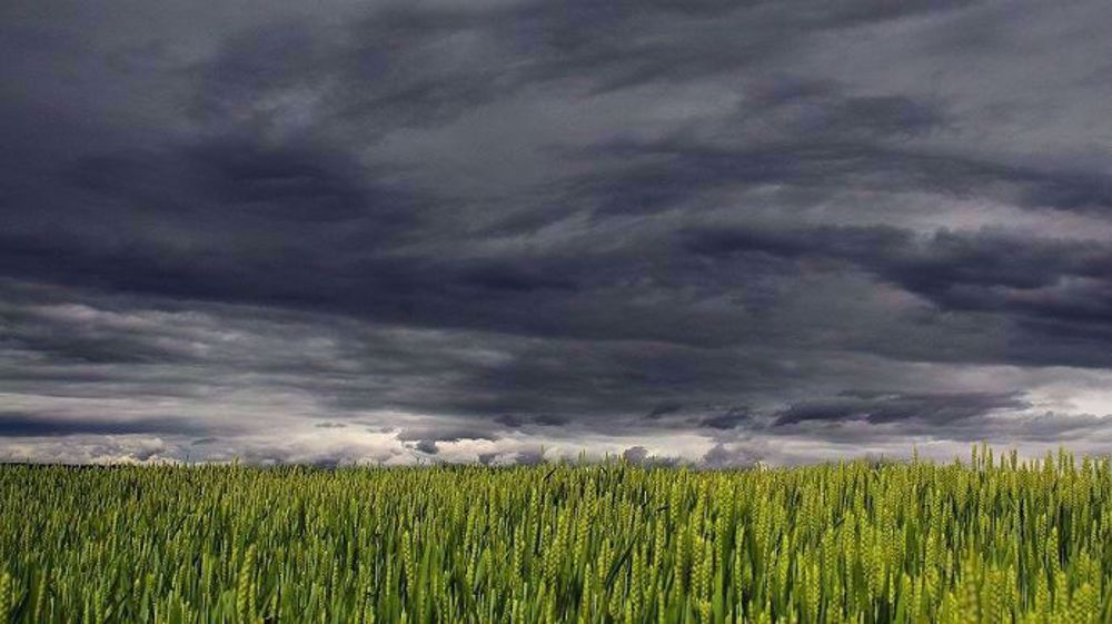 Le risque climatique est considéré comme un risque moyen à élevé en termes de fréquences mais aussi d'impacts. (©Pixabay)