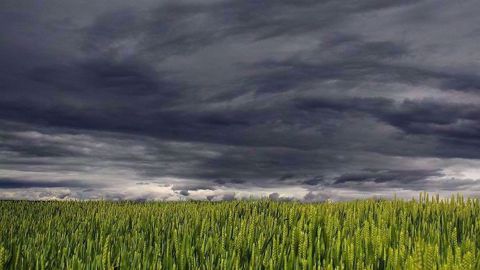 Le risque climatique est considéré comme un risque moyen à élevé en termes de fréquences mais aussi d'impacts. (©Pixabay)