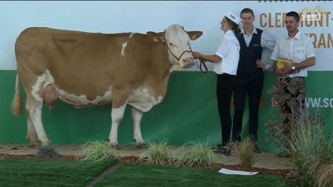 Harmonie, grande championne et championne adulte. (©Sommet de l'élevage)
