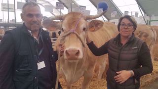 Olivier et Réjane Tarlevé, éleveurs Mayennais passionnés de Blonde d’Aquitaine, ici au Sommet de l’élevage 2019 avec leur vache Ibella. (©Terre-net Média) Olivier et Réjane Tarlevé, éleveurs Mayennais passionnés de Blonde d’Aquitaine, ici au Sommet de l’élevage 2019 avec leur vache Ibella. (©Terre-net Média)