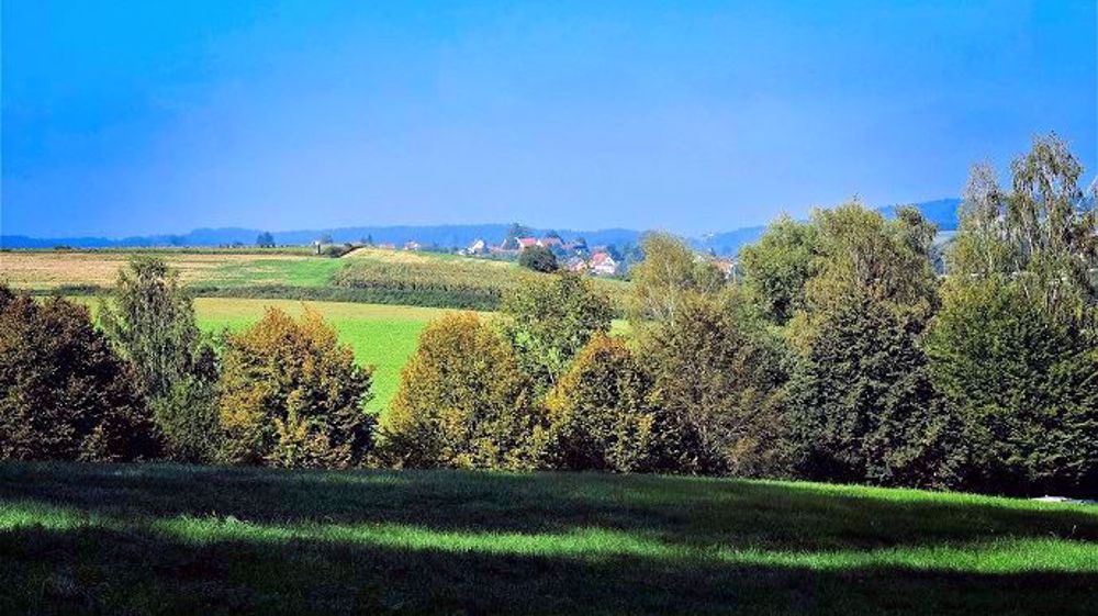 La Coordination rurale a présenté ses recommandations pour le pacte productif 2025 mardi 1er octobre 2019. (©Pixabay)