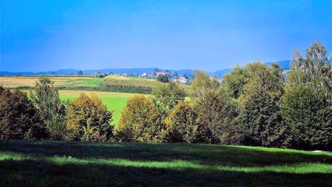 La Coordination rurale a présenté ses recommandations pour le pacte productif 2025 mardi 1er octobre 2019. (©Pixabay)