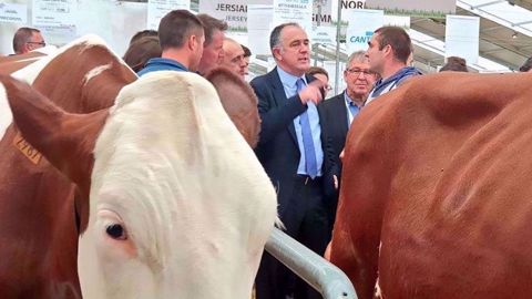 Didier Guillaume en visite au Sommet de l'élevage.