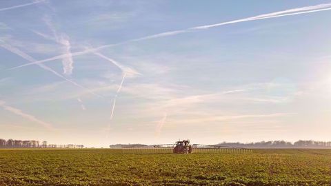 « Je veux simplement remettre les pendules à l'heure », explique Luc Jacquet. (©Nadège Petit @agri_zoom)
