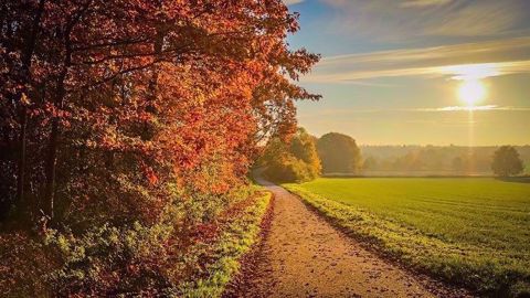 La température moyenne mensuelle nationale en septembre atteint 18,1 degrés pour une normale de 17 degrés, soit un excédent de 1,1 degré. (©Pixabay)