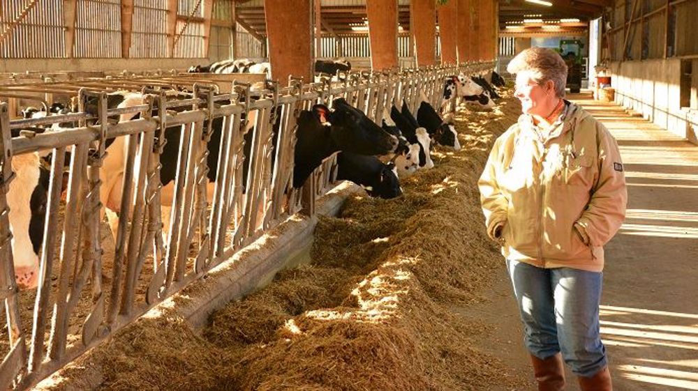 Les femmes agricultrices ont pu avoir le statut de co-exploitante en 1980 seulement. (©Terre-net Média)