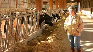 Les femmes agricultrices ont pu avoir le statut de co-exploitante en 1980 seulement. (©Terre-net Média) Les femmes agricultrices ont pu avoir le statut de co-exploitante en 1980 seulement. (©Terre-net Média)