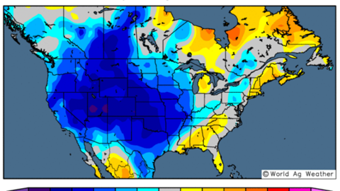Des températures bien en dessous des normales ont été relevées aux États-Unis et au Canada (©World Ag Weather)<span style="font-size: 14px; text-align: justify; color: #000000;"> 