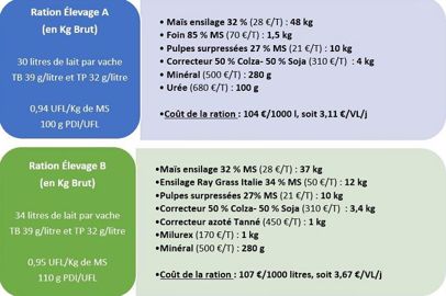 Deux rations vaches laitières différentes : une plutôt simple et économique et l'autre plus concentrée.
