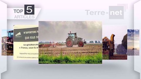 Top articles de Terre-net cette semaine