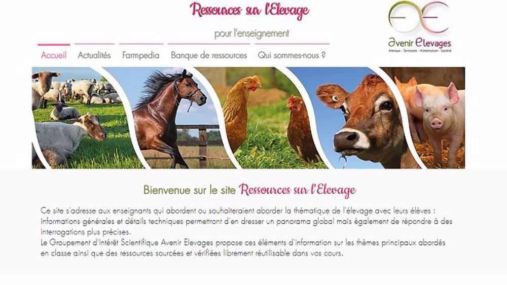  Le site <a href="https://www.ressources-elevage.fr/" target="_blank">ressources-elevage.fr</a> comporte des chapitres de cours téléchargeables sur l'élevage et une base de données avec des articles et vidéos de différents contributeurs. (©Gis "avenir élevage")