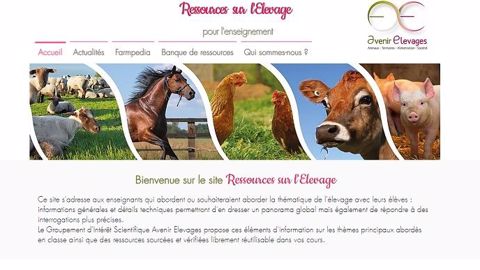 Le site <a href="https://www.ressources-elevage.fr/" target="_blank">ressources-elevage.fr</a> comporte des chapitres de cours téléchargeables sur l'élevage et une base de données avec des articles et vidéos de différents contributeurs. (©Gis "avenir élevage") Le site <a href="https://www.ressources-elevage.fr/" target="_blank">ressources-elevage.fr</a> comporte des chapitres de cours téléchargeables sur l'élevage et une base de données avec des articles et vidéos de différents contributeurs. (©Gis "avenir élevage")