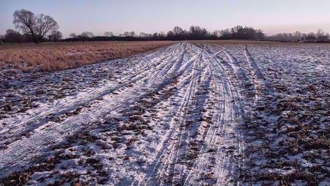 Malgré l'omniprésence de la douceur, un ou deux épisodes neigeux semblent se profiler au nord de la Loire en décembre selon MeteoNews. (©Pixabay)