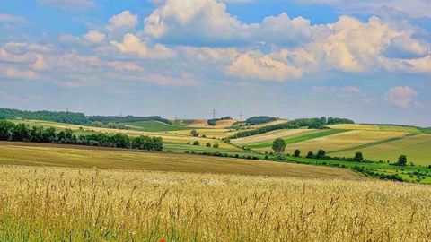 En moyenne, les exploitants agricoles ont enregistré un revenu net imposable mensuel moyen de 1 390 euros par mois en 2017. (©Pixabay) En moyenne, les exploitants agricoles ont enregistré un revenu net imposable mensuel moyen de 1 390 euros par mois en 2017. (©Pixabay)