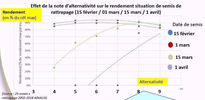 Effet de l'alternativité sur le rendement en situation de semis de rattrapage