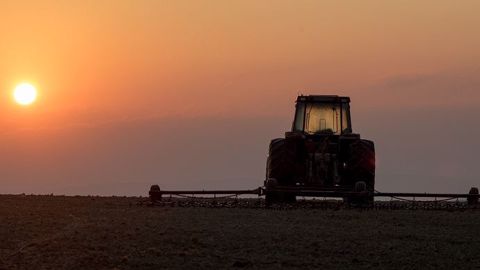 Outre les procédures collectives classiques assez peu utilisées dans le secteur agricole, le dispositif d'aides à la relance des exploitations agricoles a été renforcé en 2019. (©Pixabay) Outre les procédures collectives classiques assez peu utilisées dans le secteur agricole, le dispositif d'aides à la relance des exploitations agricoles a été renforcé en 2019. (©Pixabay)